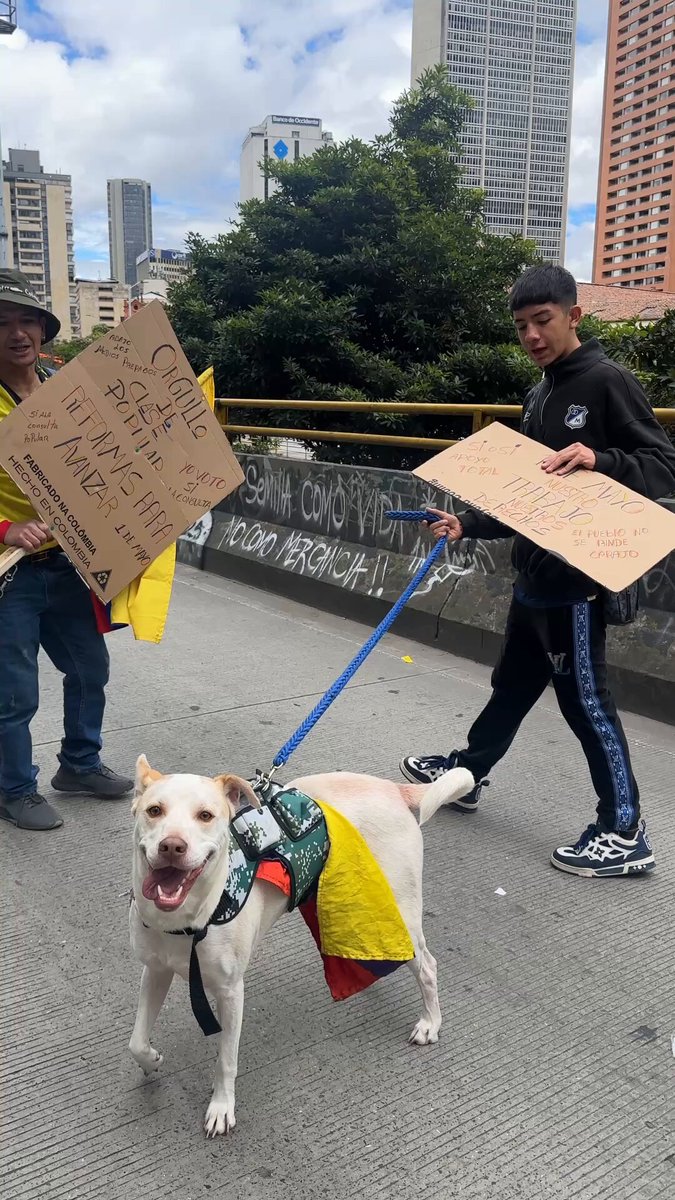 1 de Mayo. A los congresistas obtusos les digo: ¡Que la democracia hable ahora o (a la) Calle para siempre!