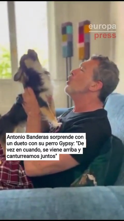 #LoMásVisto | Antonio Banderas sorprende cantando a dueto junto a su perro Gypsy: "De vez en cuando, se viene arriba y canturreamos juntos"
