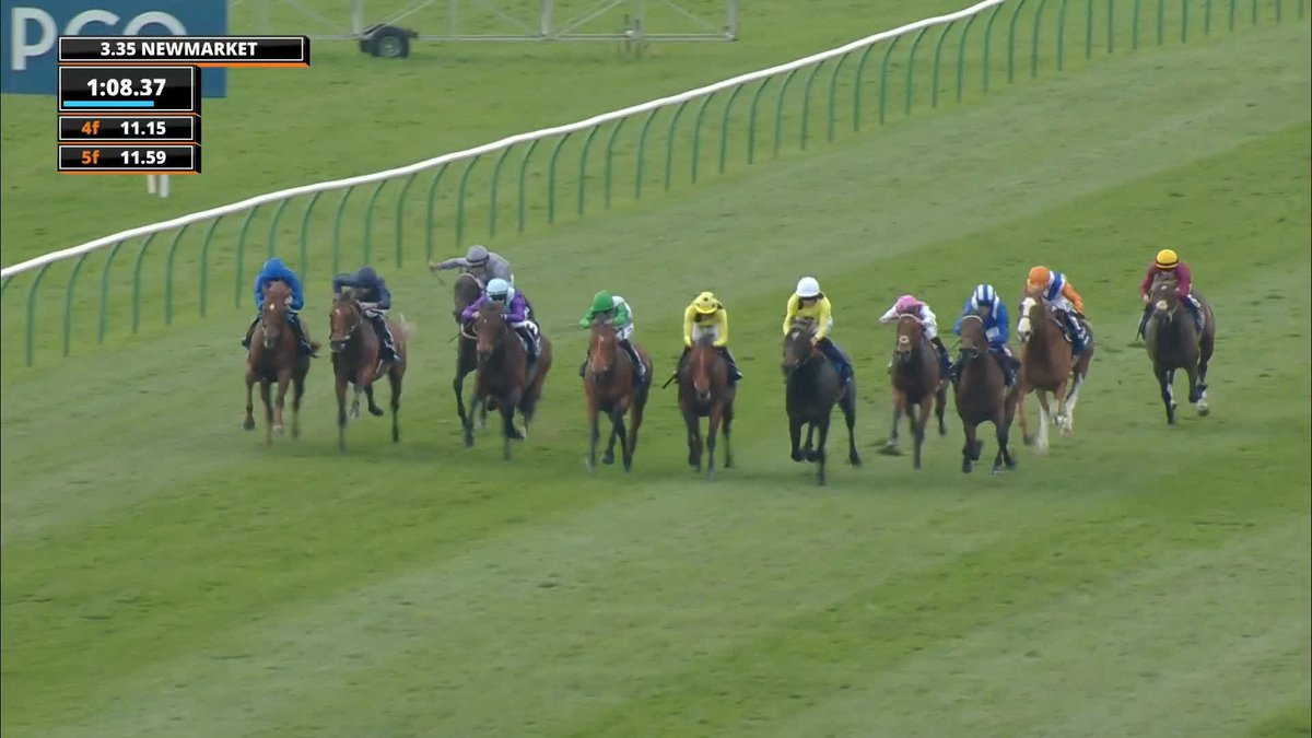 Tomorrow marks a year since I drove a six hour round trip to watch City Of Troy perform a racecourse gallop 😂 Looking forward to tomorrow’s renewal 🔥