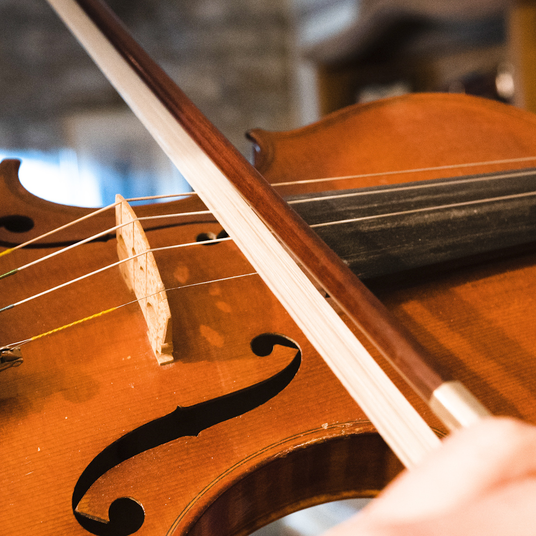 Why professional violin bows are so expensive