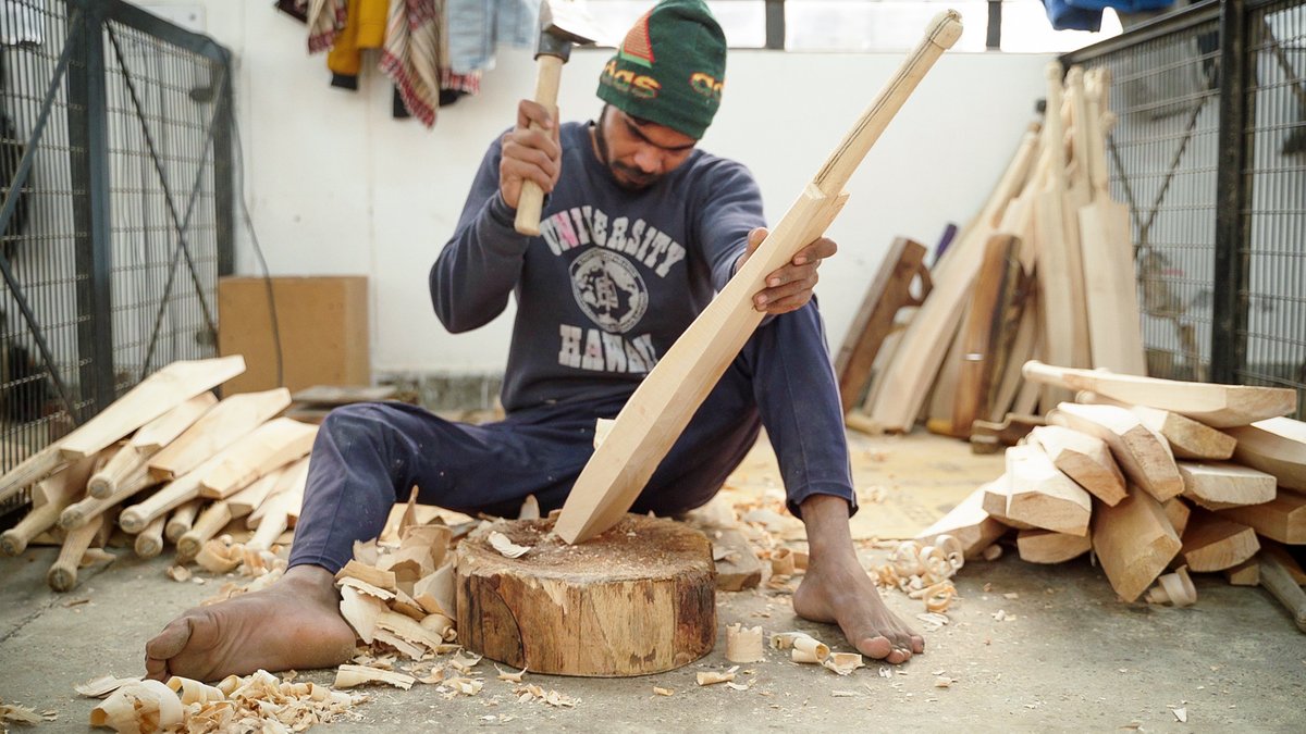 Why English willow cricket bats are so expensive