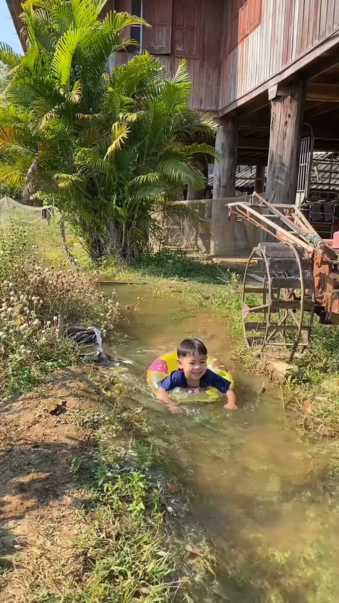 Seronoknya tepi rumah je Budak-budak bandar mana tahu benda ni , tambah2 Yang lahir tahun 2000 cari berudu dlm longkang pun belum tentu penah 😌