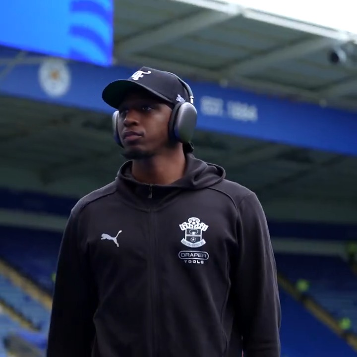Focused on the Foxes 😤