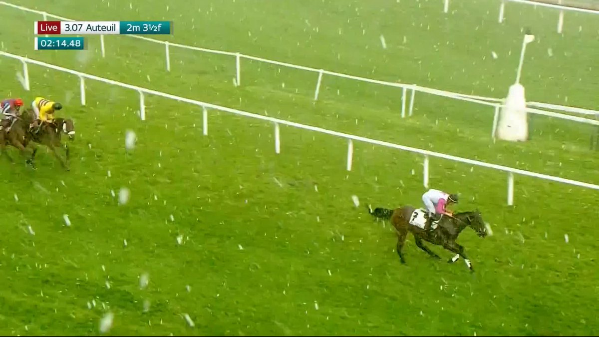 【海外競馬】 🇫🇷フランスのオートゥイユ競馬場、最終レースが競走途中で中止に。 🎥 At The Races