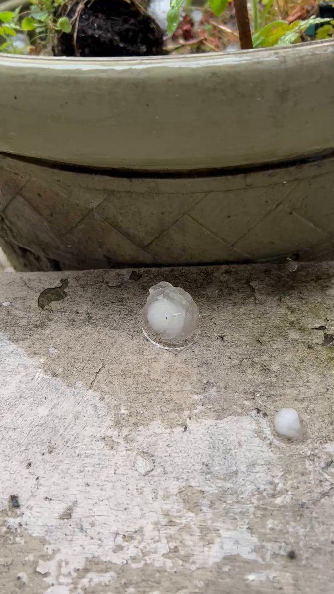 #Orage : violente pluie de grêle à Paris qui a frappé les toits et les arbres. Ce sont des glaçons impressionnants qui ont fait un bruit d'enfer. Ici des grelons de la taille d'une grosse balle avec des pointes. #Paris #Grêles