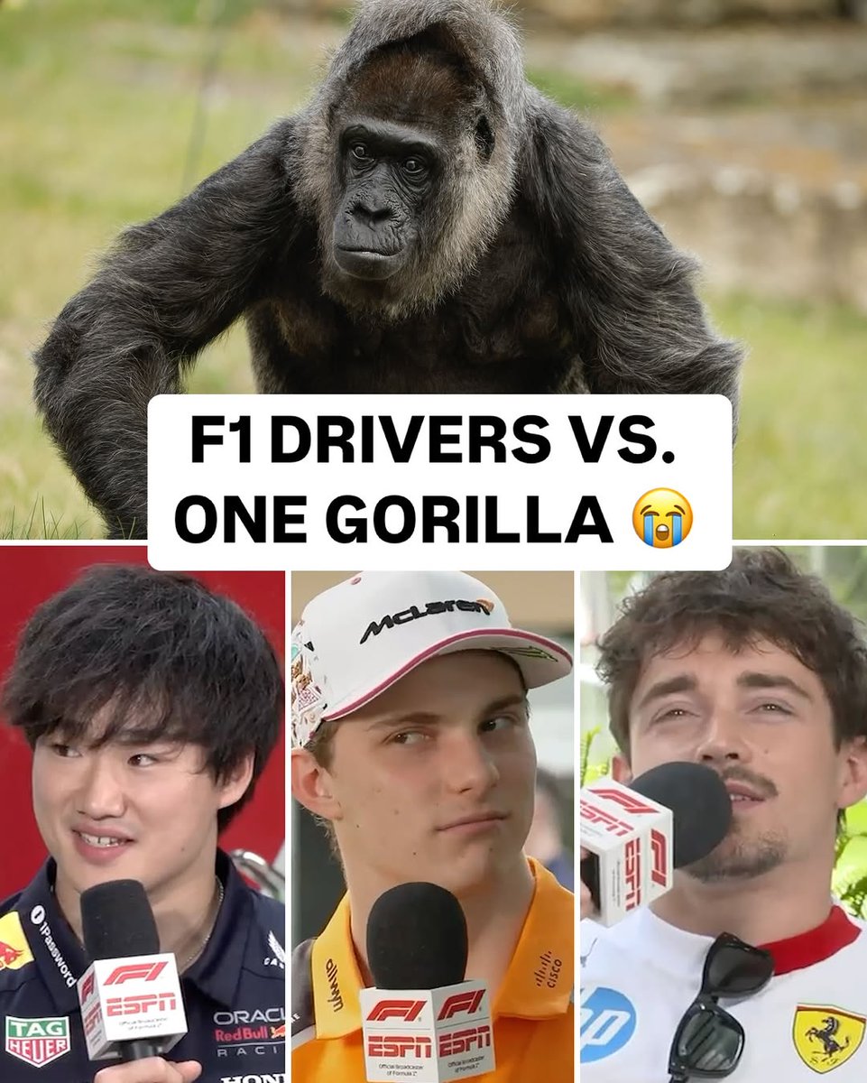 "Can we wear a helmet?" 🤣 Yuki really thought through the topic of the weekend at the Miami Grand Prix 🦍