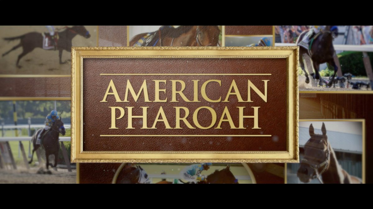10 years after his remarkable Triple Crown victory, American Pharoah’s legacy lives on in the hearts of fans around the world. ❤️ #KyDerby