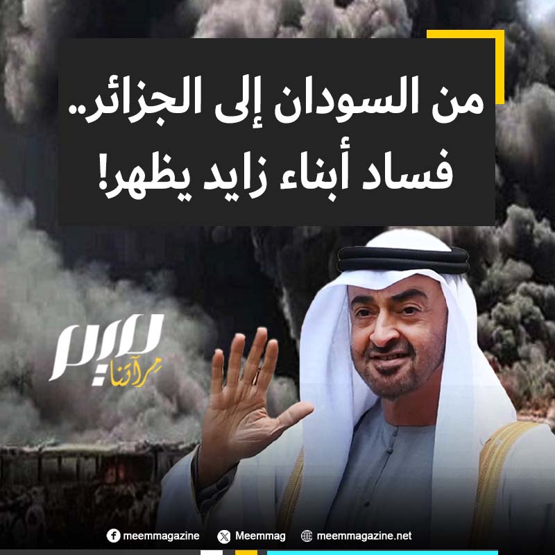 "شياطين.. أينما حلوا حل الخراب والدمار والقتل".. من السودان إلى الجزائر، دول عربية تضيق ذرعا بالإمارات وحكامها!