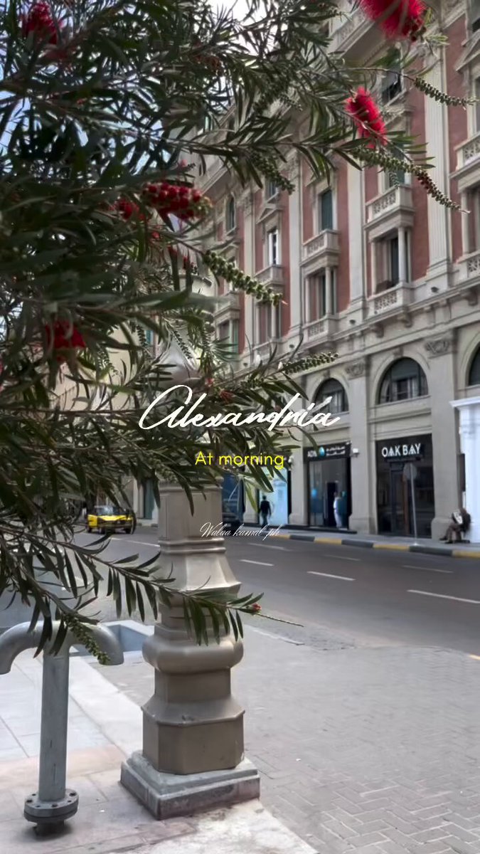 هنا الإسكندرية 🌿🤩♥️