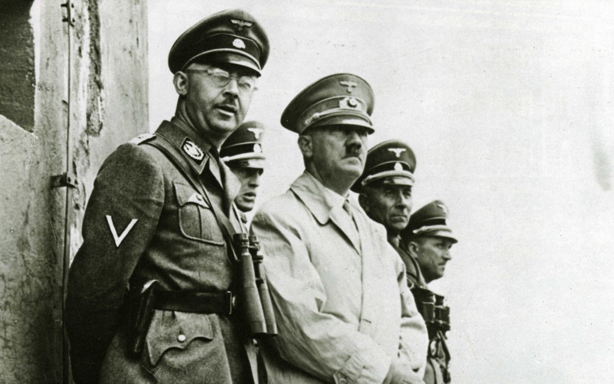 🗣️📜 Heinrich Himmler's Views on Race (Speech)