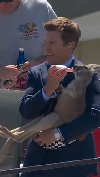 Just @JamieMcMurray feeding a baby kangaroo at Texas Motor Speedway. #NASCAR