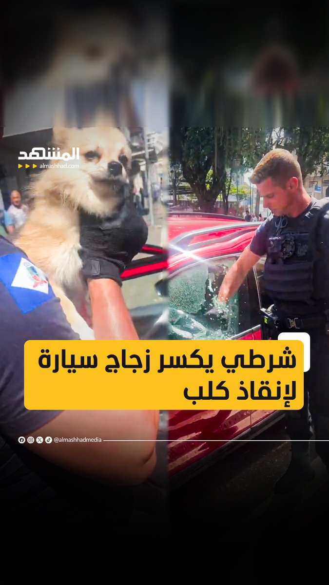 في البرازيل شرطي يكسر زجاج سيارة لإنقاذ كلب تُرك داخلها في درجة حرارة مرتفعة