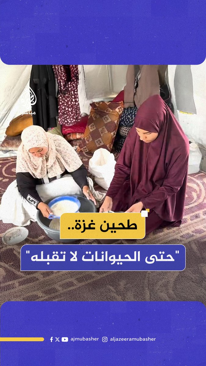 أهل #غزة يأكلون الطحين مع الحشرات للبقاء على قيد الحياة #الجزيرة_مباشر