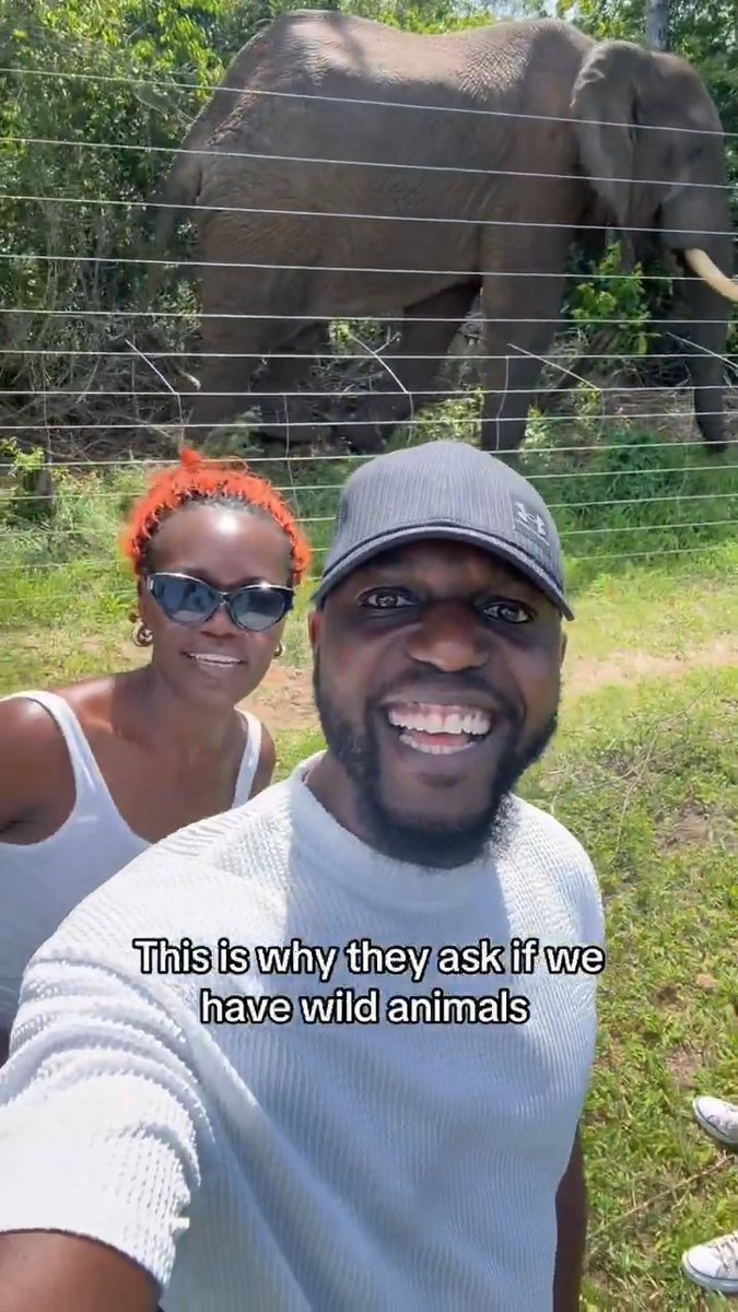 I would like to confirm the allegations that we live with wild animals in Africa. There’s an elephant literally on my way home in Kenya