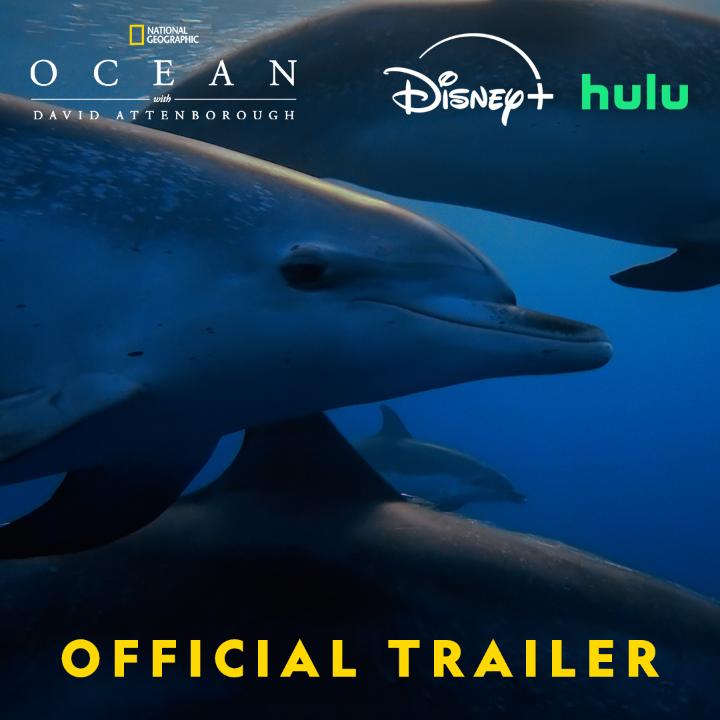 By saving the sea, we can save our world. Take a journey beneath the waves with David Attenborough and discover the importance of preserving our oceans. Ocean with David Attenborough premieres Saturday, June 7 at 9/8c on National Geographic TV. Streaming next day on Disney+ and Hulu.