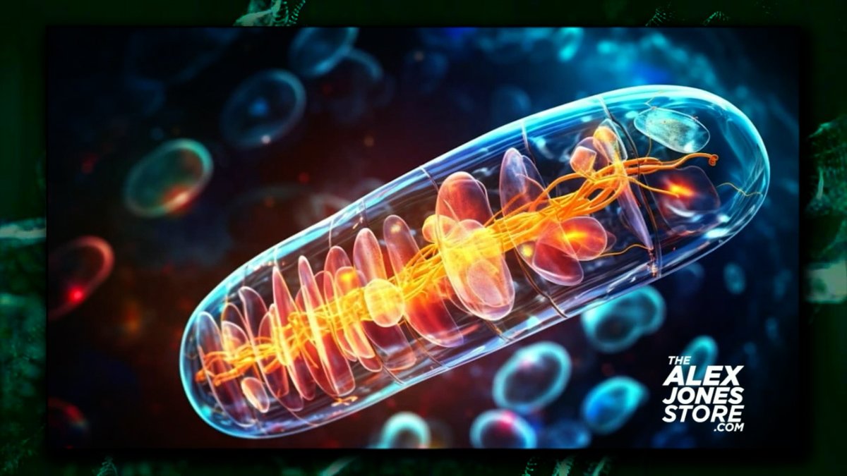 VIDEO: Learn How Methylene Blue Energizes/Cleans Your Body In This Informative Scientific Break Down » LIVE X STREAM: