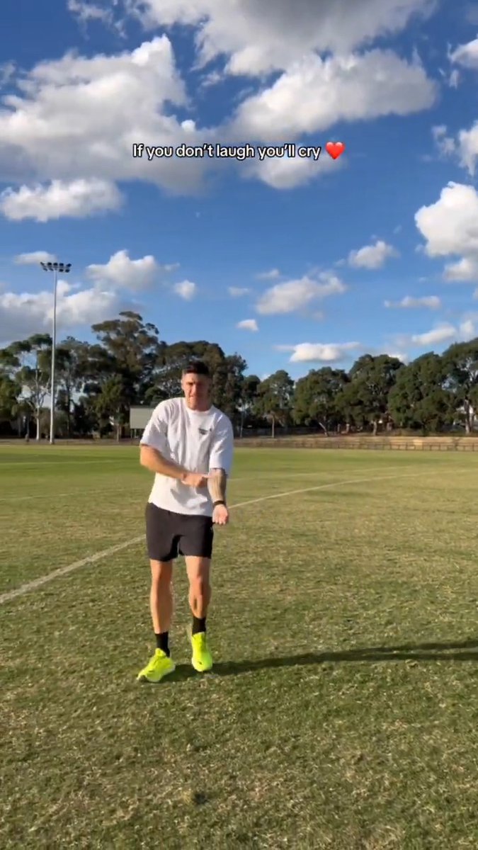 Pies v Cats (alternate ending) 🔀 (via: mikaylacrisp / TikTok)
