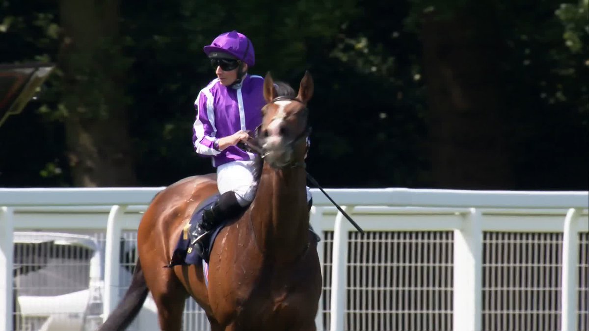 😍 ILLINOIS will take on 5️⃣ rivals in the G3 Ormonde Stakes at Chester on Thursday over 1m5f: • ILLINOIS 11/10 • ABSURDE 5/2 • AL QAREEM 5/1 • MONDO MAN 12/1 • ROARING LEGEND 14/1 • MOUNT ATLAS 14/1 Is ILLINOIS banker material for Aidan O'Brien? 👀