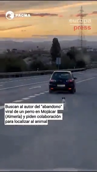 Buscan al autor del "abandono" viral de un perro en Mojácar (Almería) y piden colaboración para localizar al animal. El perro fue captado corriendo detrás del coche de su dueño en plena autopista tras ser abandonado