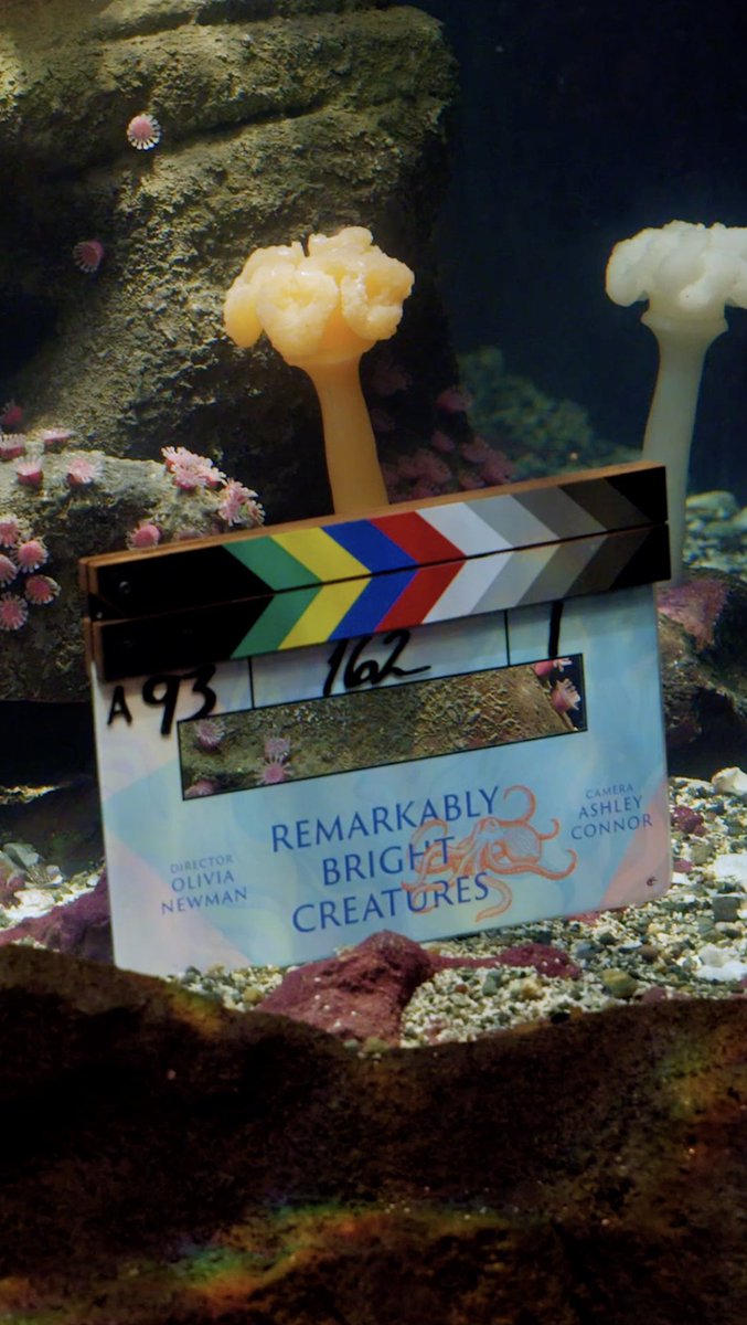 That's a wrap on Remarkably Bright Creatures! 🐙 The feature adaptation of the bestselling book is coming soon to Netflix.