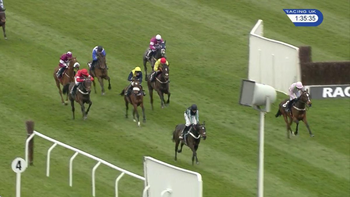 Happy 15th Birthday Altior 13/611111/111111/111/11111/21/22/ 🏆🏆🏆Champion Chase 🏆🏆🏆Game Spirit 🏆🏆🏆Celebration Chase 🏆Tingle Creek 🏆 Arkle 🏆 Supreme Novices' Hurdle 🏆 Desert Orchid Chase 💰 £1,320,795! Nicky Henderson Nico de Boinville