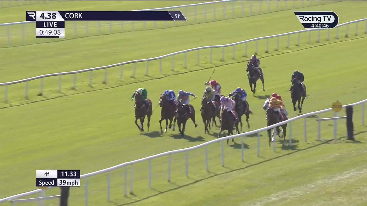 Oh Cecelia 🩷 A second 2yo winner of the season for JWDavisonracing. Cork Racecourse | Irish Stallion Farms
