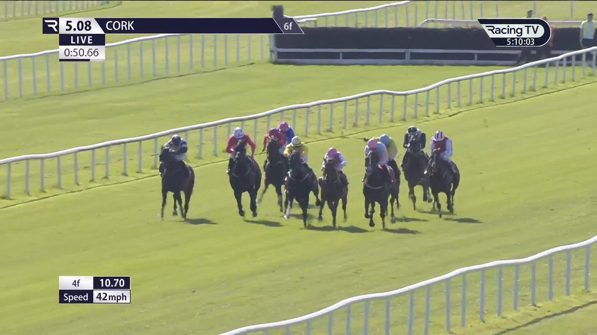 A filly with a BIG future 💫 City Of Memphis, a 370,000 euros daughter of Sioux Nation, powers clear to make a winning debut in the style of a filly that is surely destined for Pattern races. Paddy Twomey Racing | @wjlee24786