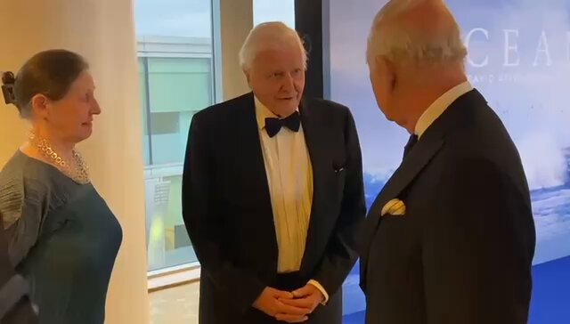 King of the United Kingdom, Charles III, meets king of the world, David Attenborough (now 98). Charles was attending the film premiere of ‘Ocean with David Attenborough’ at the Royal Festival Hall tonight🍿