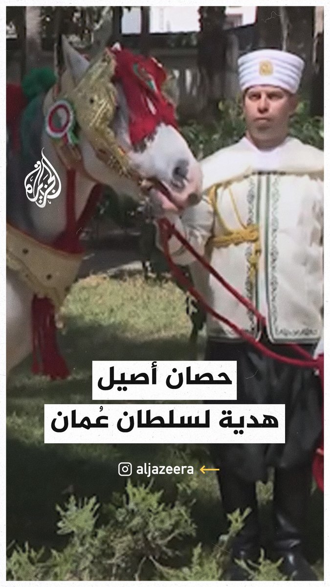 الرئيس الجزائري يهدي سلطان عُمان حصانا بربريا أصيلا