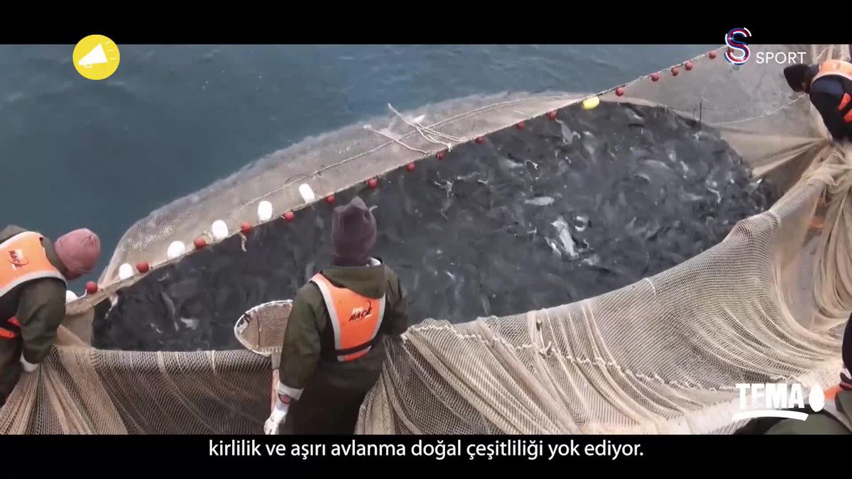 Max Strus saymaya devam ediyor 3️⃣