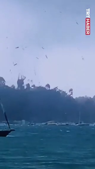 Karayipler’de oluşan hortum sırasında balıklar havada uçuştu.