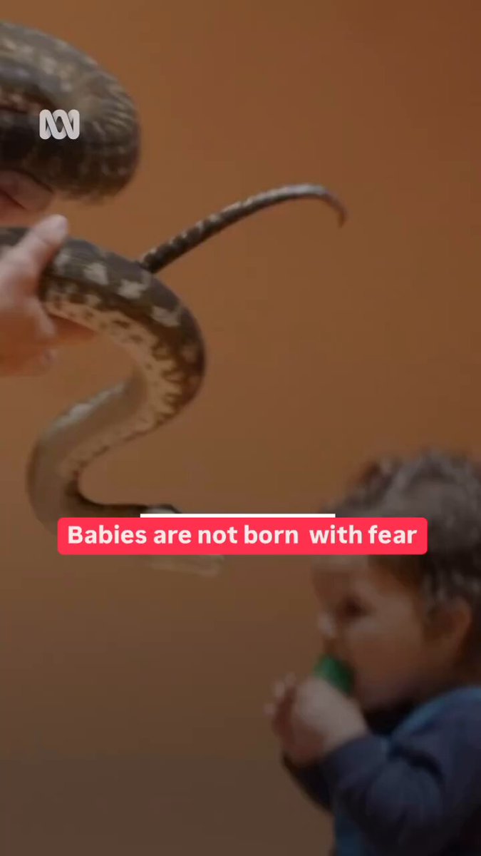 Children learn fear by watching you. Your reaction becomes their lesson.