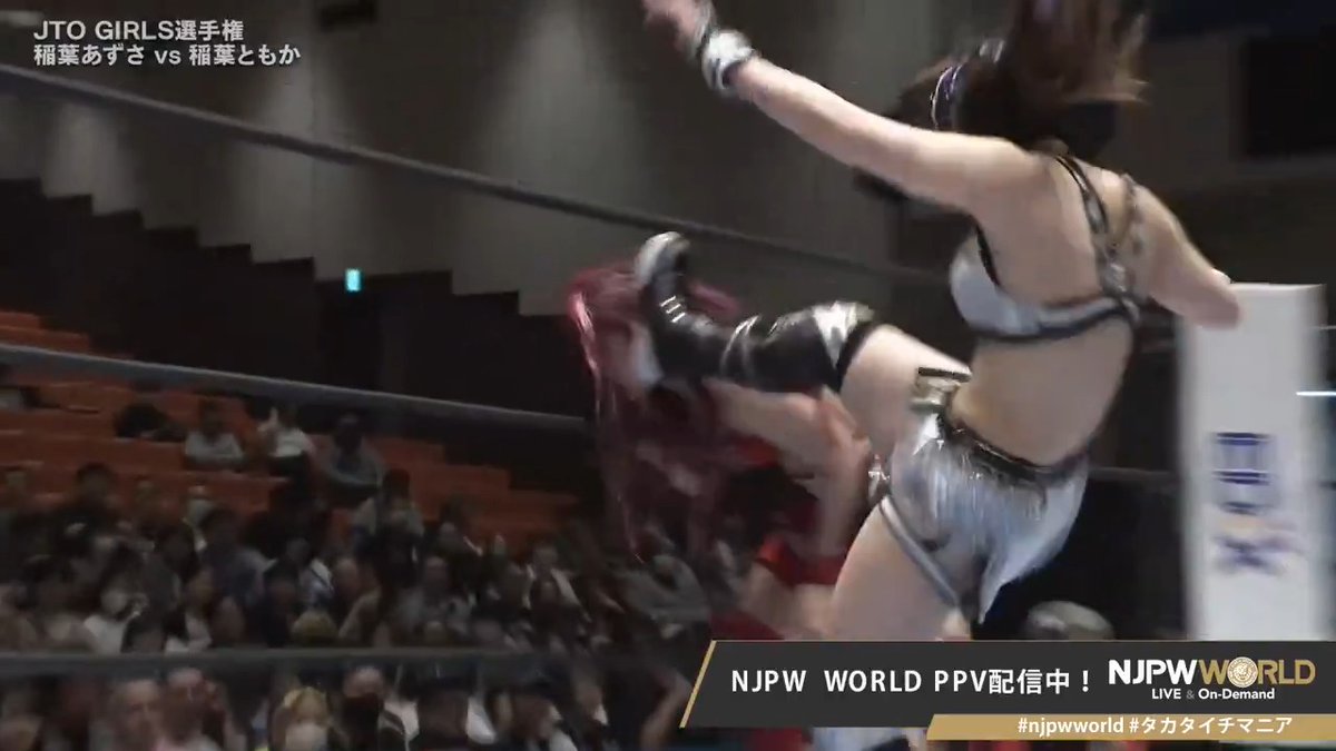 .稲葉 ともか "💥💥💥" PPV⏩ #NJPW #njpwworld #タカタイチマニア