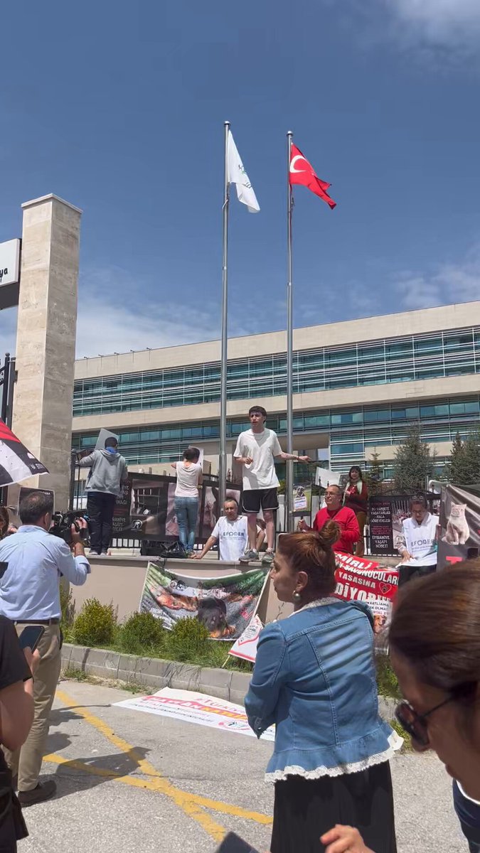 Sokak hayvanlarıyla ilgili düzenlemenin görüşüldüğü Anayasa Mahkemesi'nin önünde protesto: "Ülkenin tek derdi bu mu?"