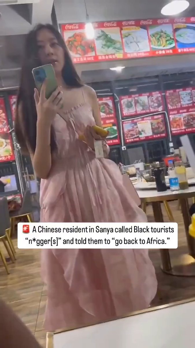 This chinese woman called black tourists 'niggers' and told them to go back to Africa. Their reaction is priceless