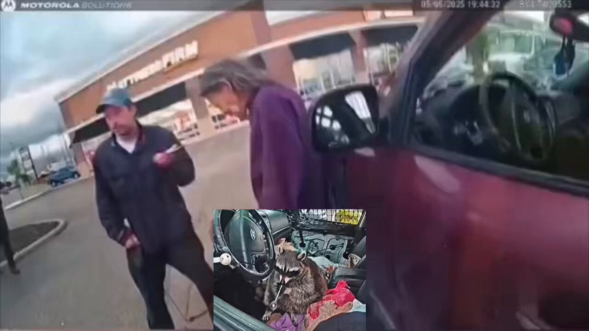 🔥🚨DEVELOPING: Ohio police discovered a woman’s pet raccoon trying to smoke meth during a traffic stop. A pet raccoon with a meth pipe in its mouth caught the eye of Ohio cops during a traffic stop for a suspended license — leading them to discover a huge drug supply. Eagle-eyed officers noticed “Chewy” the raccoon sitting in the driver’s seat — seemingly making use of the drug paraphernalia after owner Victoria Vidal, 55, was detained, Springfield Township Police Department said in a Facebook post.
