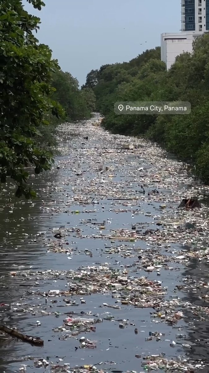 Together with our partner Marea Verde Panamá, we plan to tackle plastic pollution in 7 rivers flowing from Panama City to the Panama Bay - updates coming soon.