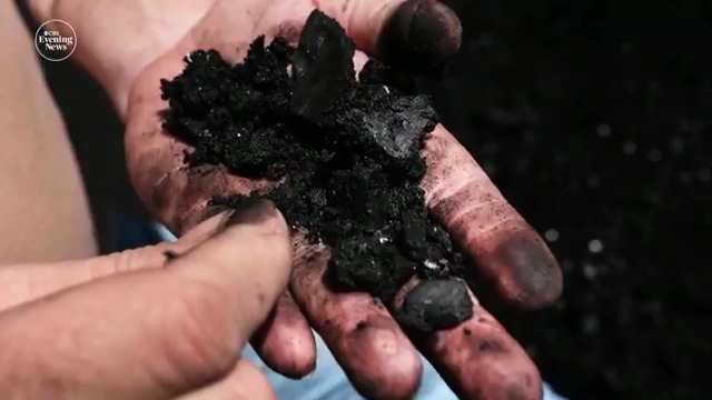 In West Virginia, coal miners are seeing the impact of the Trump administration's cuts to the National Institute for Occupational Safety and Health, or NIOSH. For decades, the department offered free screenings for black lung, but now those screenings have stopped.