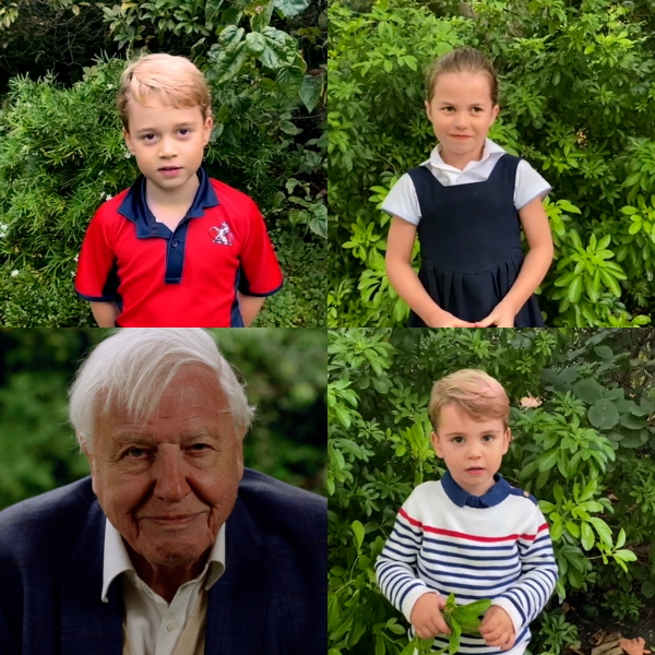 Wishing happy 99th birthday to David Attenborough!! 🎂🎉