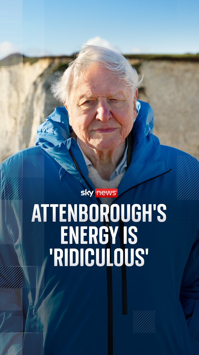 'This is David Attenborough's most important story. This is the biggest message he's ever told,' Ocean Co-Director Toby Nowlan spoke to Sky News about the new film⬇️ Read more: