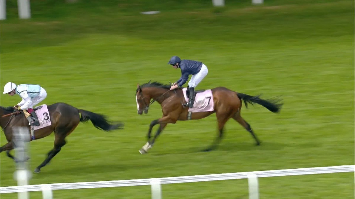 MOUNT KILIMANJARO wins the Boodles Raindance Dee Stakes ‼️🗻 Some ride from Ryan Moore 👏 Coolmore