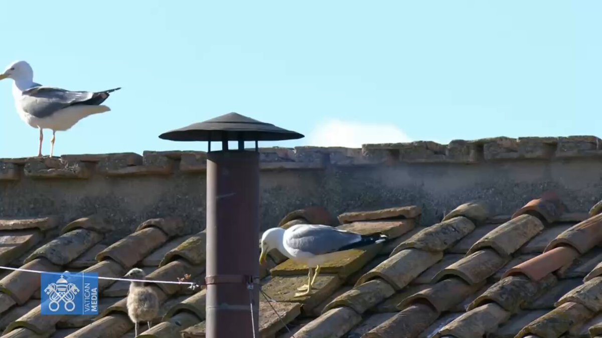 Pope News: White smoke out the vatican - new pope has been picked.