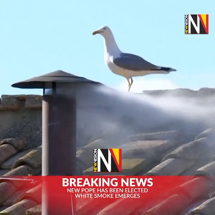 WATCH A new pope has been elected! Now the whole watching world awaits the identity of who it is. #VisionUpdates