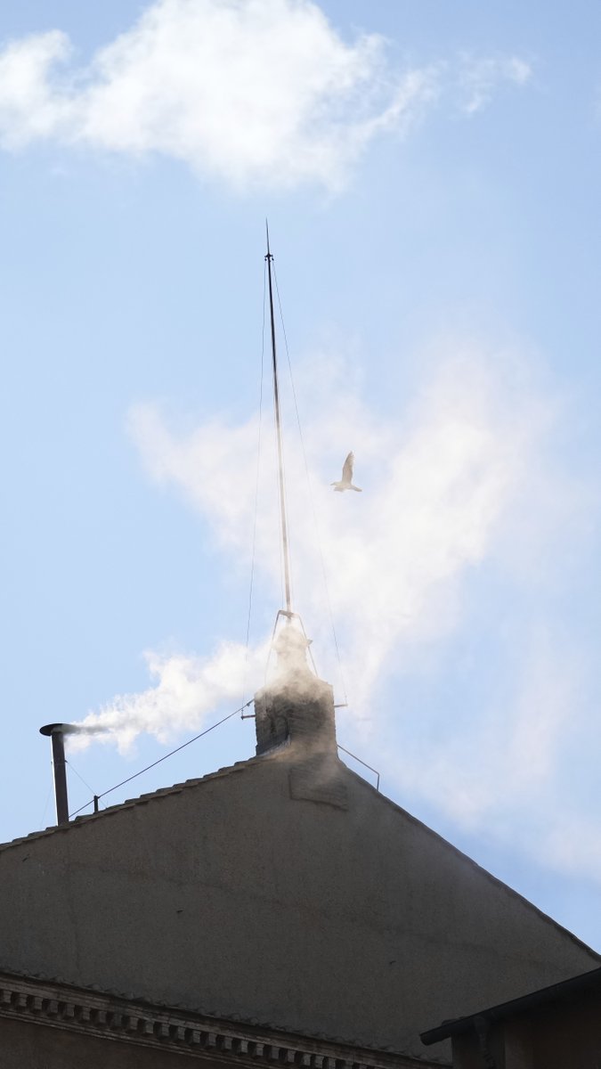 A new pope has been elected to succeed Pope Francis and lead the Catholic Church. This is how people reacted in St. Peter's Square when white smoke emerged from the Sistine Chapel: