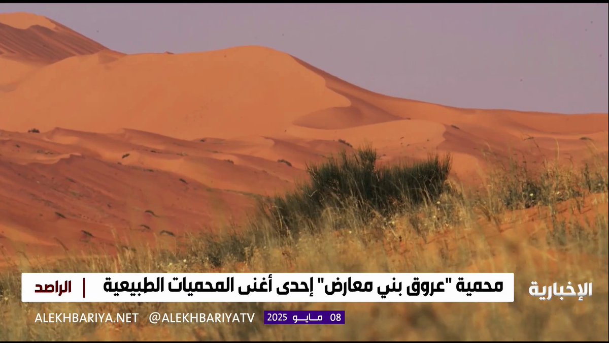 محمية "عروق بني معارض" تتضمن أغنى تنوع أحيائي وطبيعي المزيد في تقرير علي زينان #الراصد