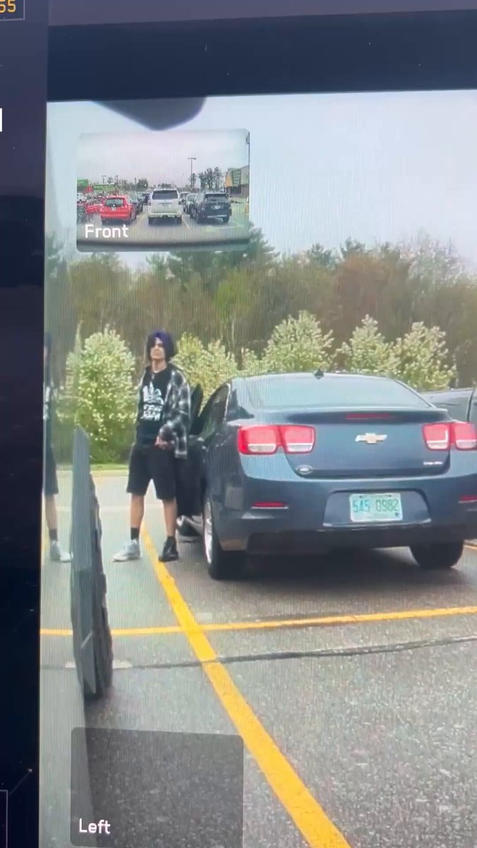 How stupid do you have to be to STILL not know that Cybertrucks have cameras that will take video of your vandalism? Apparently, missmatched shoe and purple hair stupid.