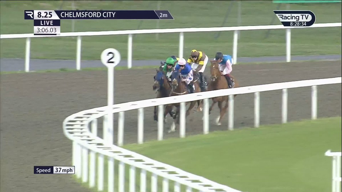 Horses for courses 😉 Carlton makes it five from five at Chelmsford City Racecourse and brings up a treble on the card for Callum Shepherd James Owen Racing