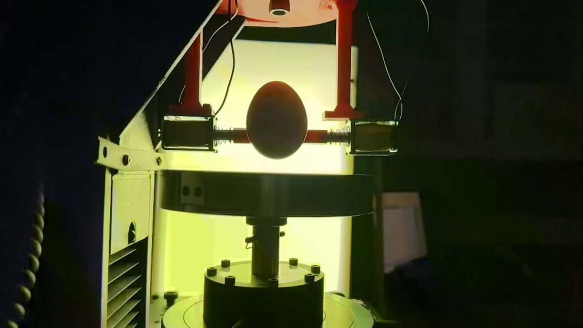 Research in Communications Physics shows eggs are less likely to crack when dropped on their side than when dropped vertically. The study used controlled trials simulating the ‘egg drop challenge,’ a common classroom science experiment.