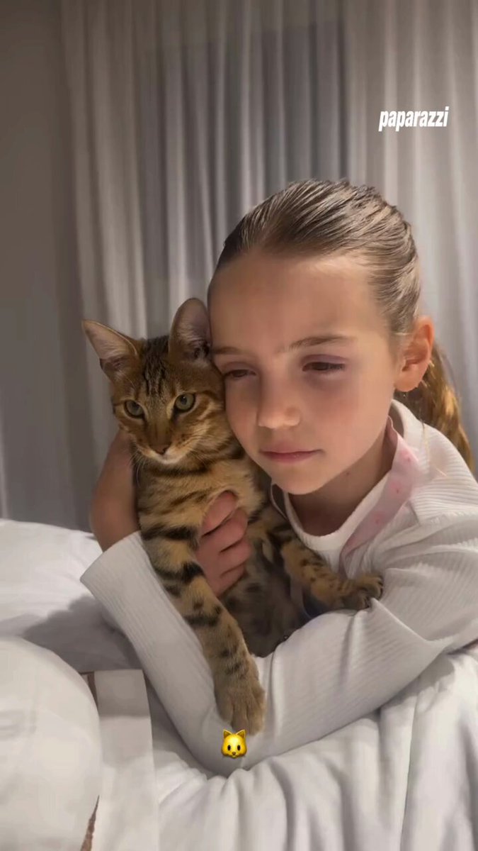 LOS MÁS TIERNOS 🥰😍 Wanda Nara compartió un dulce video de su hija Isabella jugando con su gatito.