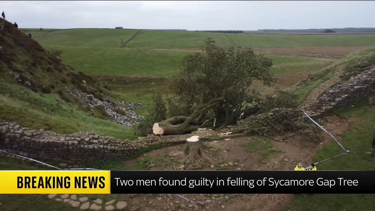 BREAKING: Daniel Graham and Adam Carruthers have been found guilty of cutting down the famous Sycamore Gap tree. Read more: 📺 Sky 501, Virgin 602, Freeview 233 and YouTube